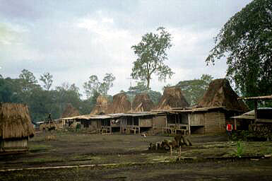 Bajawa auf Flores Indonesien/Tradition,Megalitkulturen in Nusa Tenggara