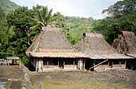 Flores/Indonesien/Gunung Inerie/Bajawa: Das traditionelle Dorf Bena
