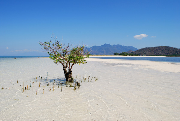 Pangabatang Maumere Bay