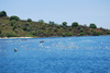 Pulau Permaan in Maumere Bay