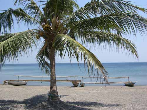 Indonesien Insel Flores NTT Nusa Tenggara Strand vor dem Pondok Dunia Laut Hotel Waiara Maumere