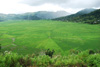 Reisebericht einer Rundreise durch Flores in Indonesien