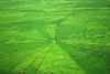 Reisebericht einer Rundreise durch Flores in Indonesien