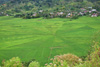 Reisebericht einer Rundreise durch Flores in Indonesien