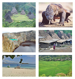 Adventure - Hikking - Snorkeling Adventure - Hikking - Snorkeling