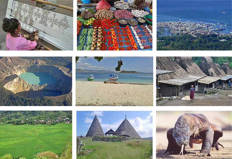 Tours in Indonesia - Flores & Komodo Tour - Private Tours