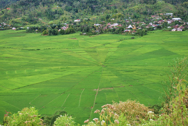 from Labuan Bajo to Ende - Flores Island - Indonesia