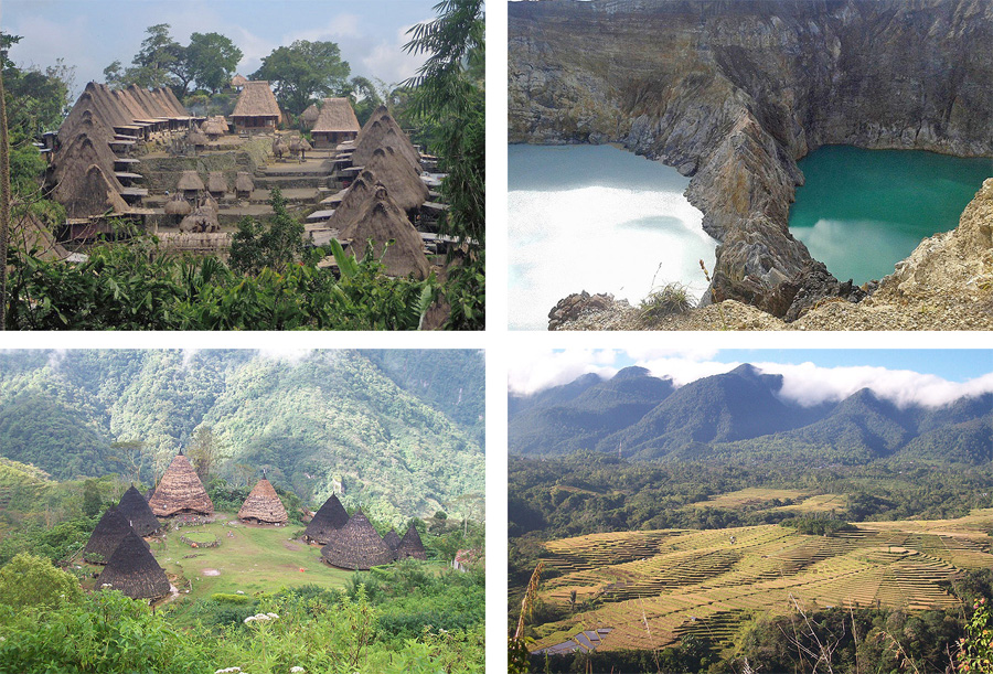 Hiking & Trekking Tours on Flores Wae Rebo, Bena, Tololela, Gurusina, Rinca & Padar Island, Kelimutu Volcano