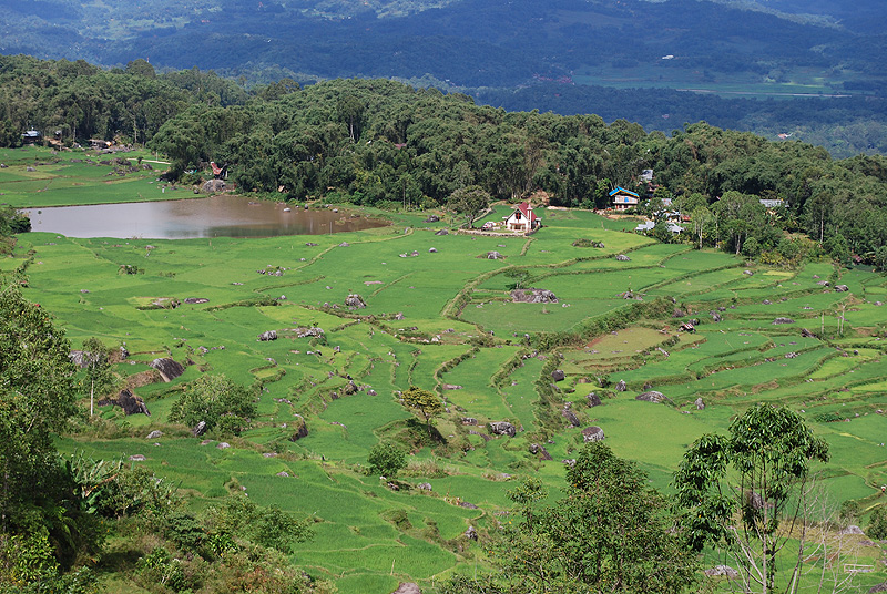 Landschaft in Batutumonga