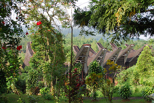 Sulawesi - Tanah Toraja - Reisebericht