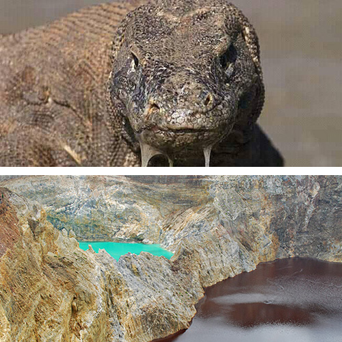 Komodo and Kelimutu Tour