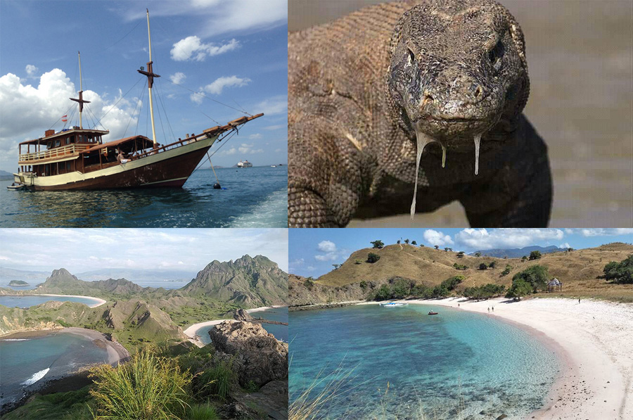 Komodo tour - private boat pinisi