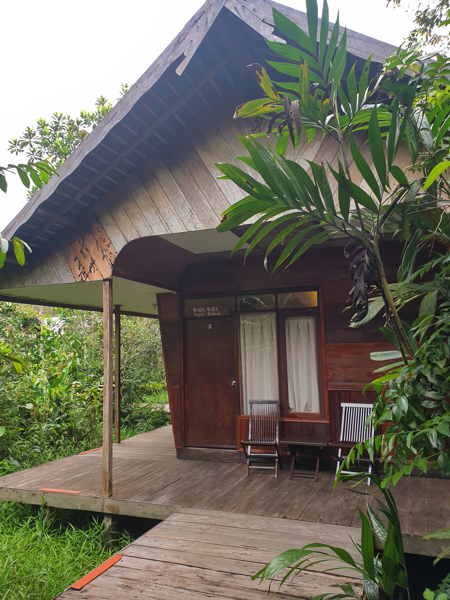 Rimba Lodge - Rooms in wooden Cottages