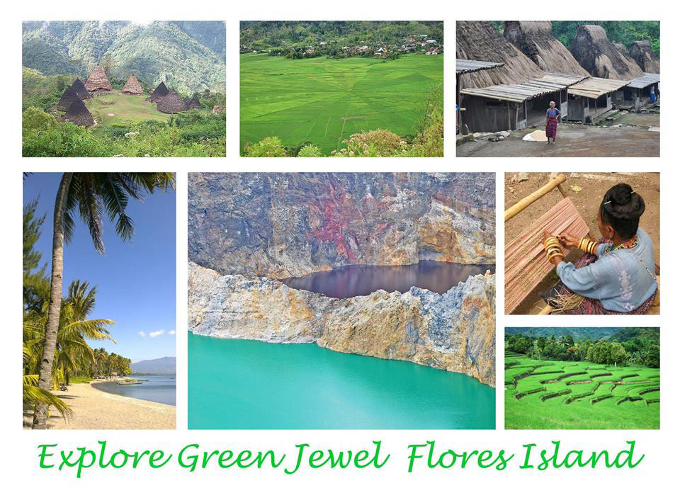 Flights to Flores  Indonesia - Tours on Flores and Komodo Tours