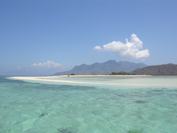 Pulau Pangahbatang maumere Flores Snorkeling