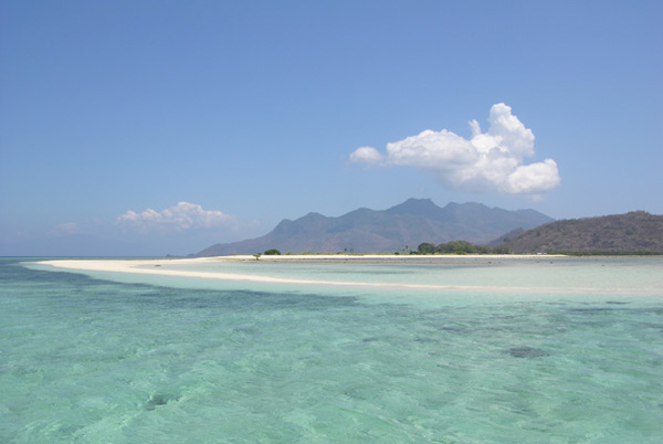 Schnorcheln in Maumere Bay Diving in Indonesia in der Maumere Bay Flores Island Indonesia Indonesien Diving maumere 