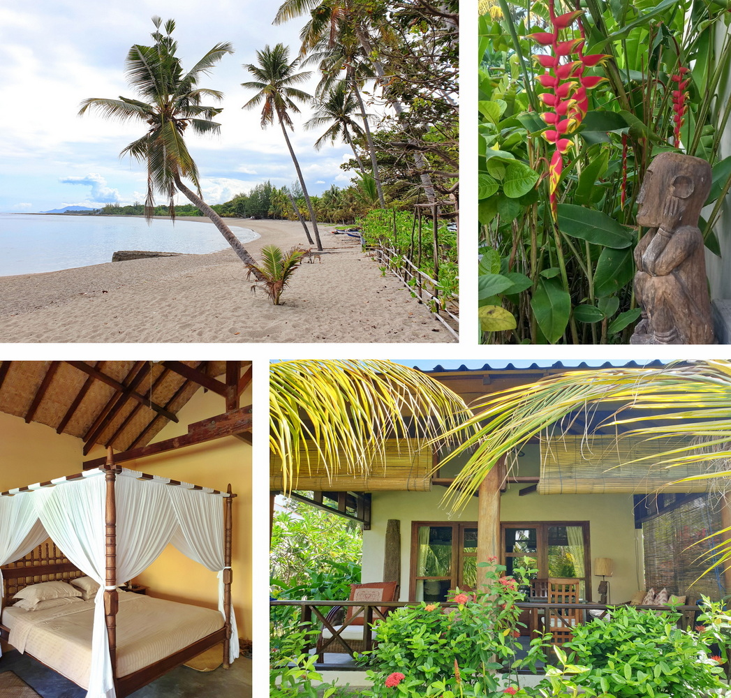 Waiara Village Guest House Waiara Village Guest House Mauemre Flores Indonesia